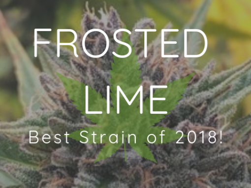 CBD 14-18% CBD/THC Ratio 29-34:1